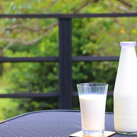The Guernsey Hotel & Resort Taketa Ngoại thất bức ảnh