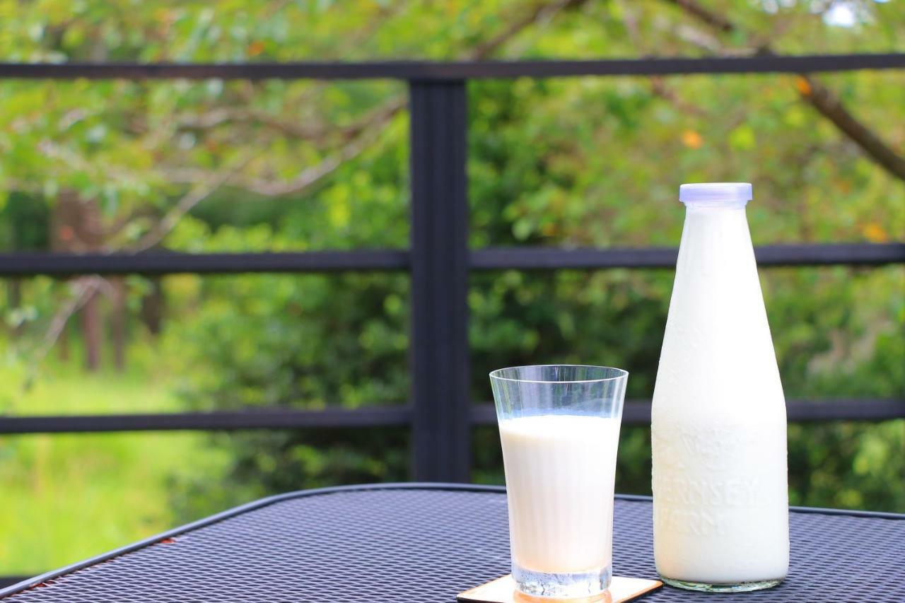 The Guernsey Hotel & Resort Taketa Ngoại thất bức ảnh